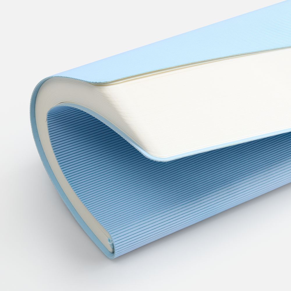 Ежедневник Vale New, недатированный, голубой / Миниатюра WWW (1000)