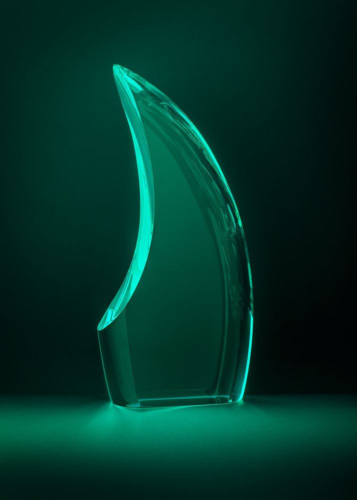 Стела «На гребне волны» / Миниатюра WWW (1000)