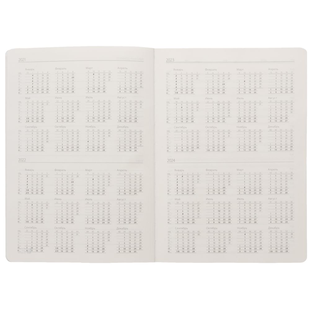 Ежедневник Eversion, недатированный, оранжевый / Миниатюра WWW (1000)